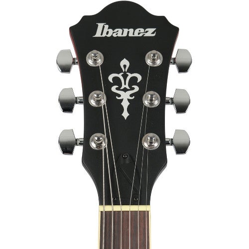 Quel étui ou housse choisir pour une hollow body Ibanez ?